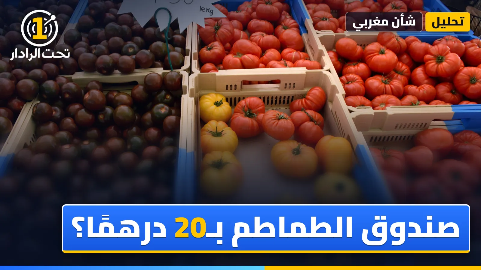 صندوق طماطم بـ20 درهمًا: ماذا يقول التاجر عن أسعار الطماطم في المغرب، وماذا تقول الأرقام؟